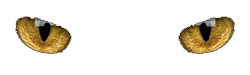Ojos de Virgilio